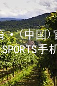 IM体育·(中国)官方网站-IM SPORTS手机app下载IM体育官网下载客户端