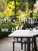 华体会hth·(中国)官方网站-www.hth.com官网app下载HTH官网下载APP手机版