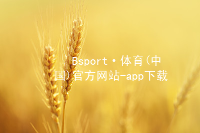 Bsport·体育(中国)官方网站-app下载bsport体育官方下载入口游戏
