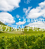 开云·kaiyun(中国)官方网站手机app下载kaiyun官方网站官网