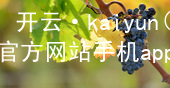 开云·kaiyun(中国)官方网站手机app下载开云官网app下载全站