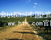 华体会hth·(中国)官方网站-www.hth.com官网app下载HTH官网地址安装