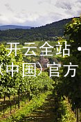 开云全站·app(中国)官方网站kaiyun.kaiyun.com官网
