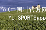 博鱼(中国)|官方网站-BOYU SPORTSapp下载博鱼app注册