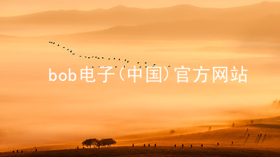 bob电子(中国)官方网站BOB电子推荐