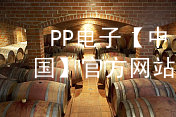 PP电子【中国】官方网站pp电子官网软件