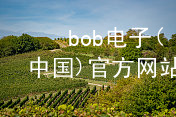 bob电子(中国)官方网站BOB电子客户端